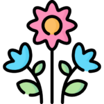 flores